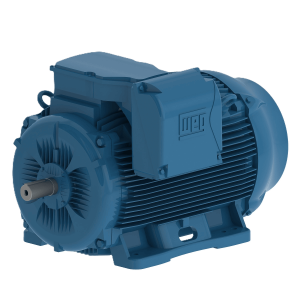 Motor  3F W22  15HP, 220/440 V  60 Hz. 1800 rpm.